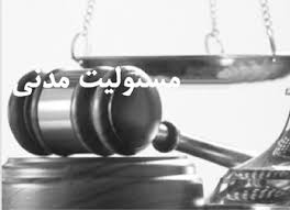 یخ زدگی مسئولیت مدنی دولت و ماجرای یک پرونده 